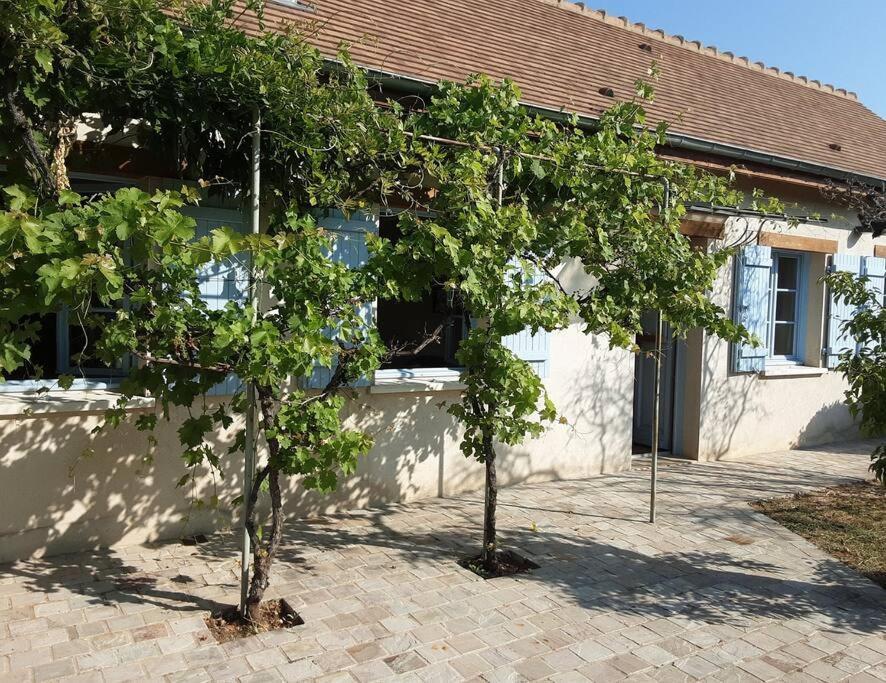 Les Annexes Villa Verdun-sur-le-Doubs Exteriör bild