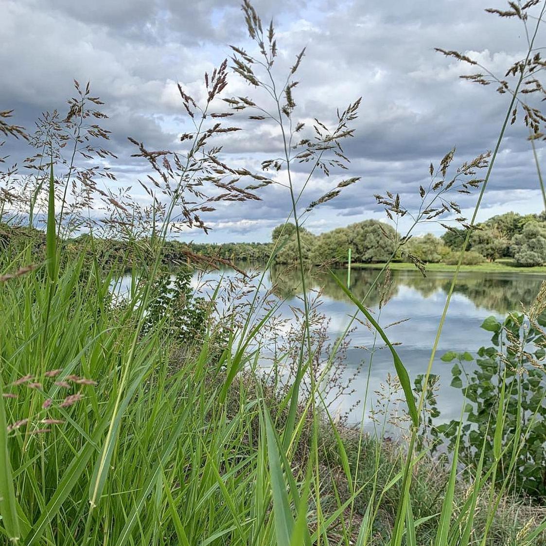 Les Annexes Villa Verdun-sur-le-Doubs Exteriör bild