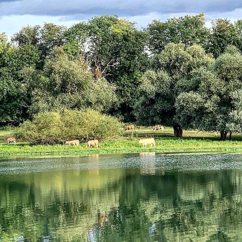 Les Annexes Villa Verdun-sur-le-Doubs Exteriör bild